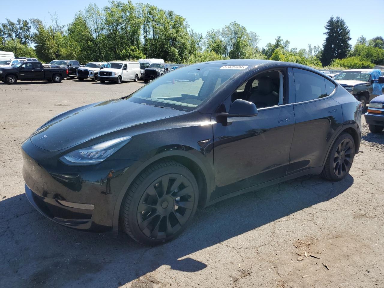 2020 TESLA MODEL Y car image