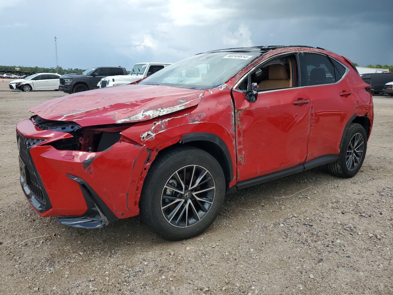 2024 LEXUS NX 350H BA