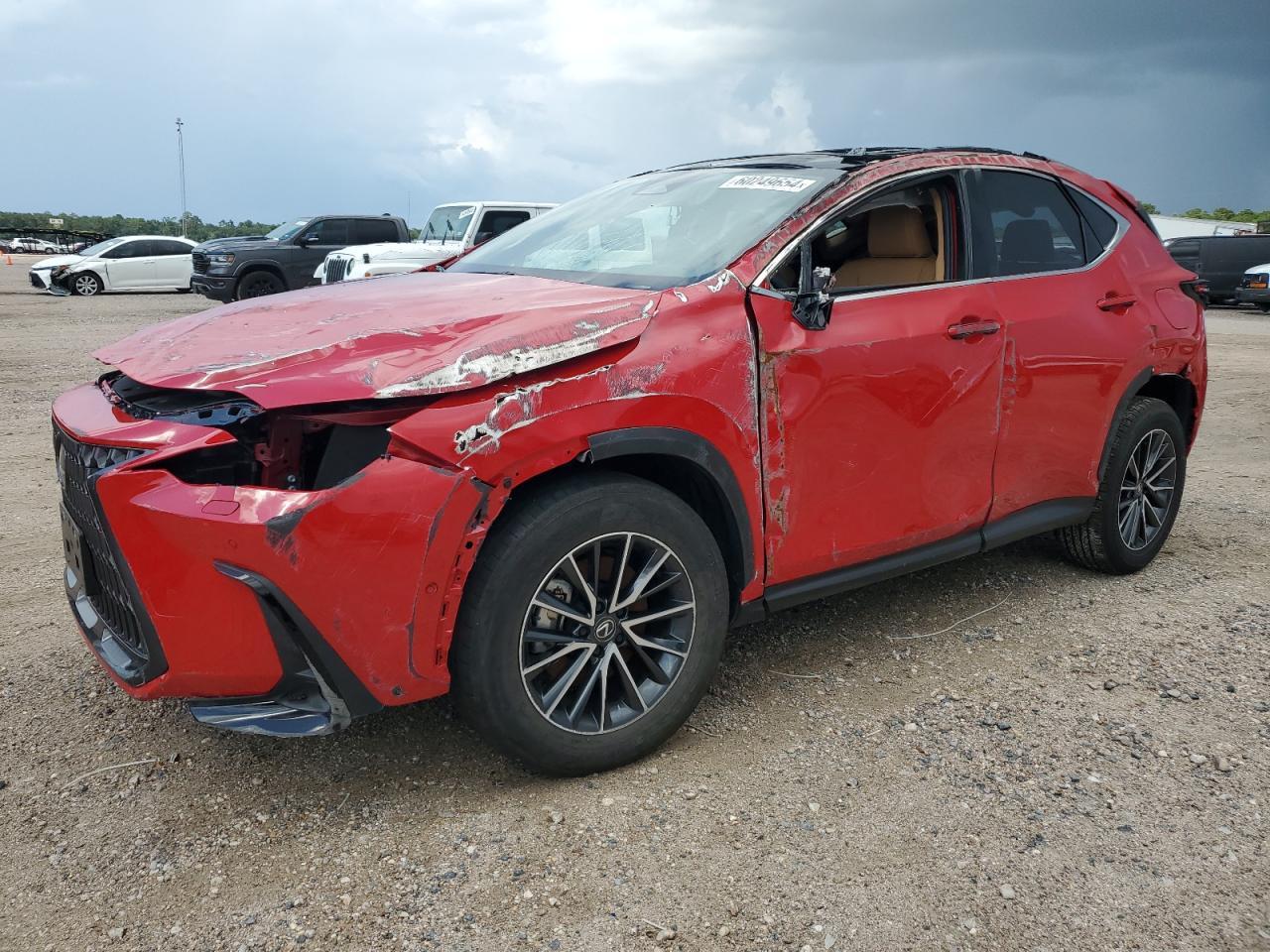 2024 LEXUS NX 350H BA car image