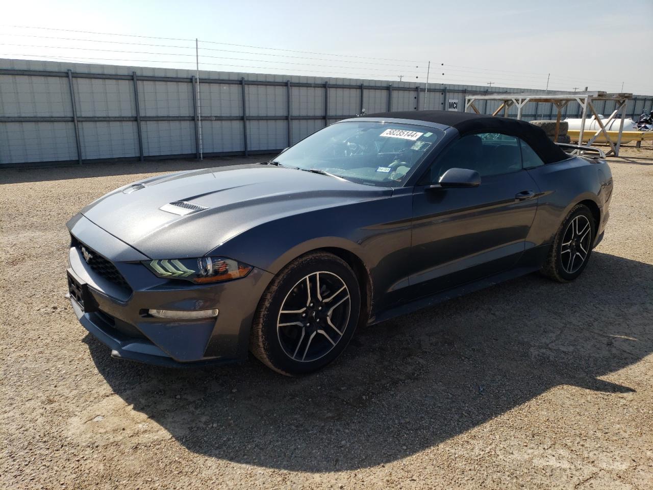 2019 FORD MUSTANG car image