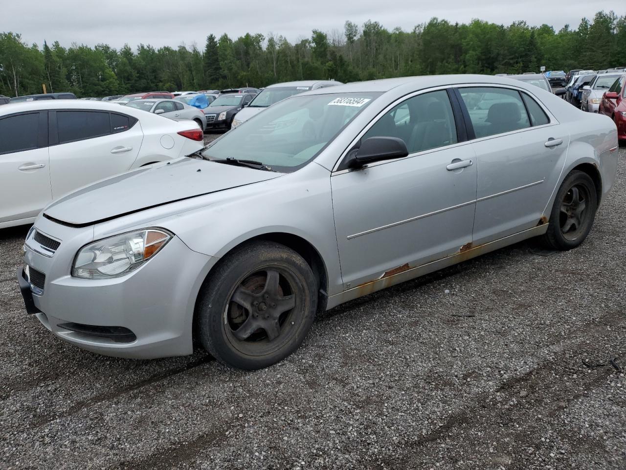 2010 CHEVROLET MALIBU LS car image