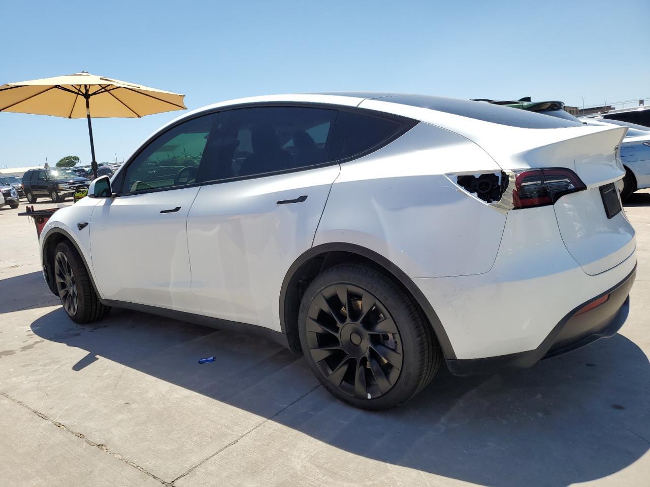 2023 TESLA MODEL Y - Фото 2