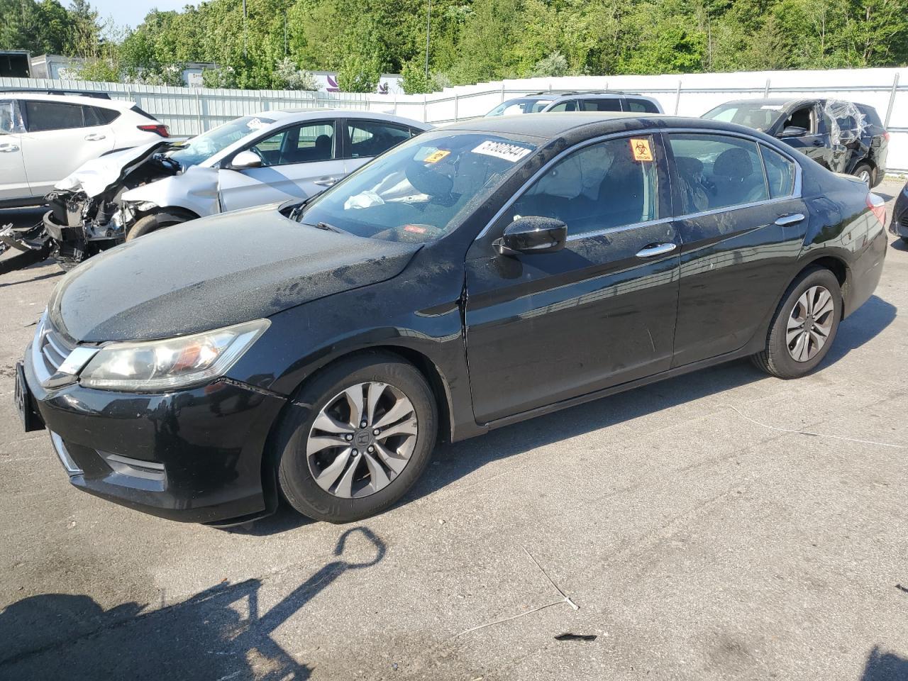 2013 HONDA ACCORD LX car image