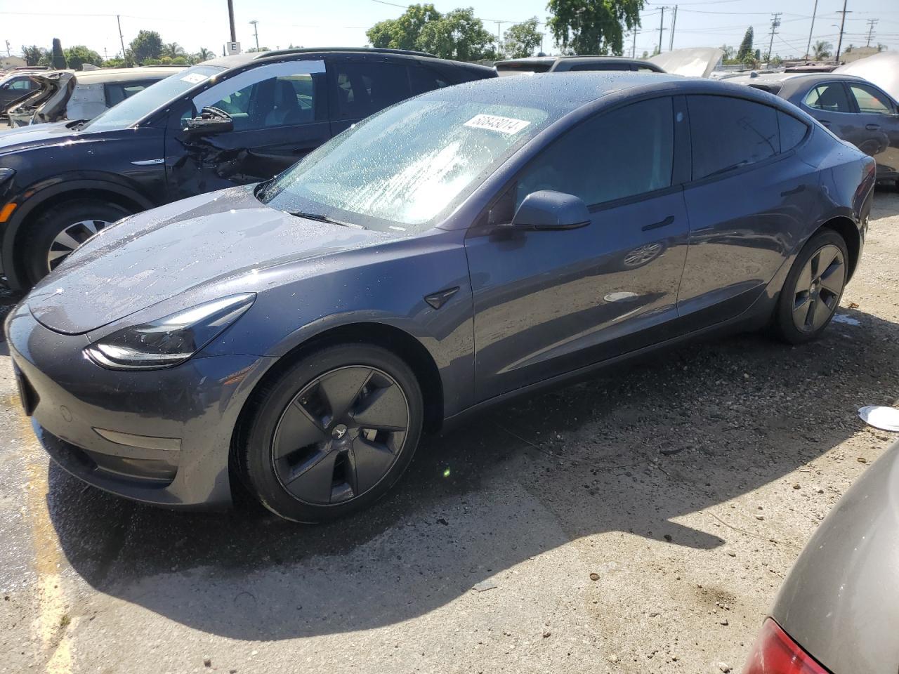 2023 TESLA MODEL 3 car image