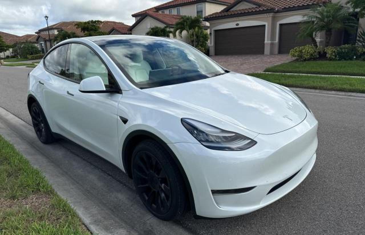 2022 TESLA MODEL Y car image