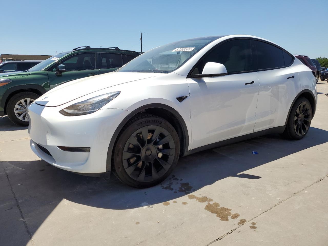 2023 TESLA MODEL Y car image