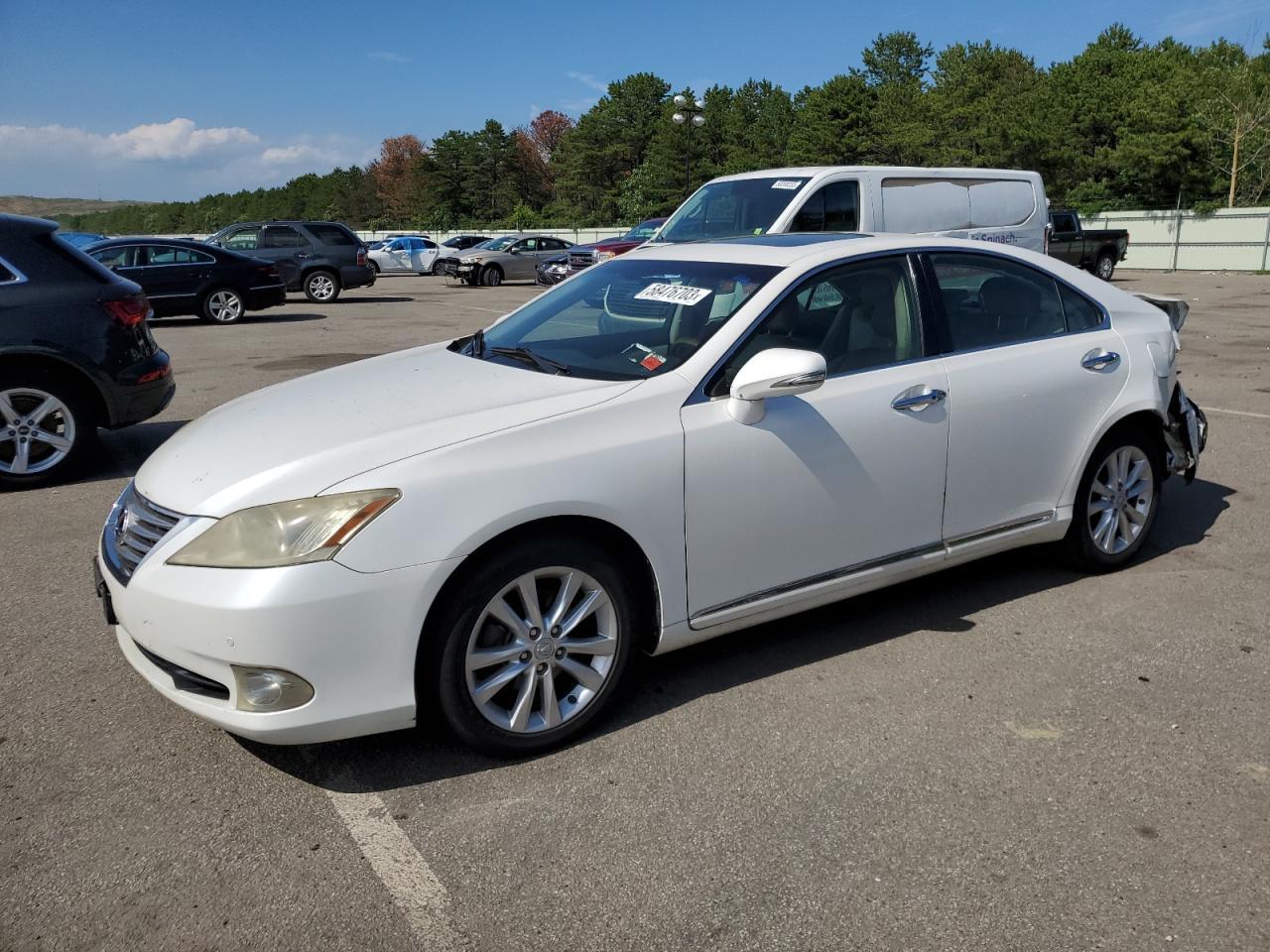 2010 LEXUS ES 350