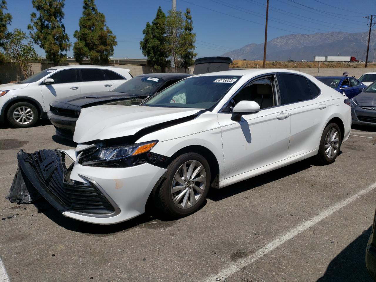 2023 TOYOTA CAMRY LE