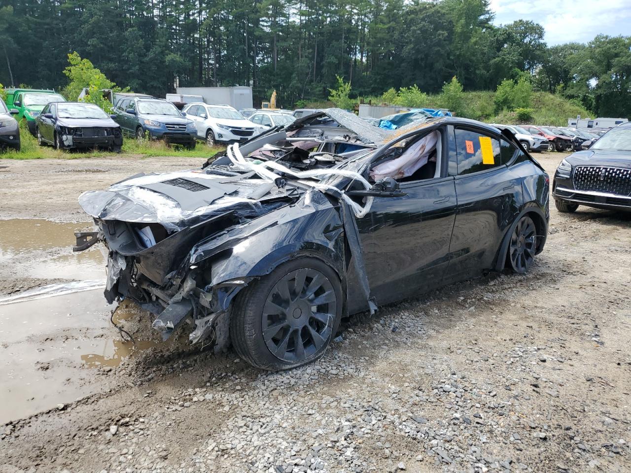 2023 TESLA MODEL Y