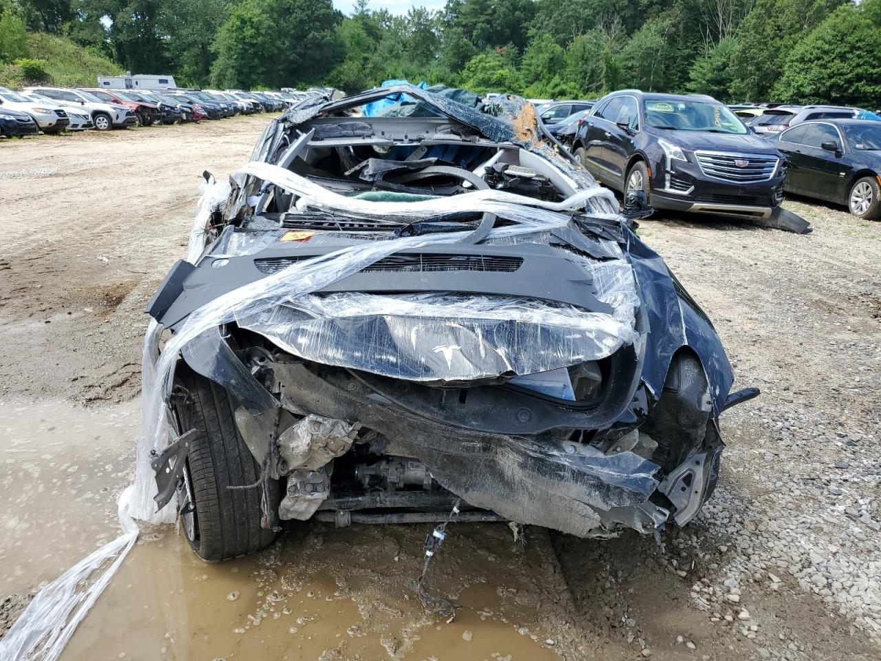 2023 TESLA MODEL Y - Image 5