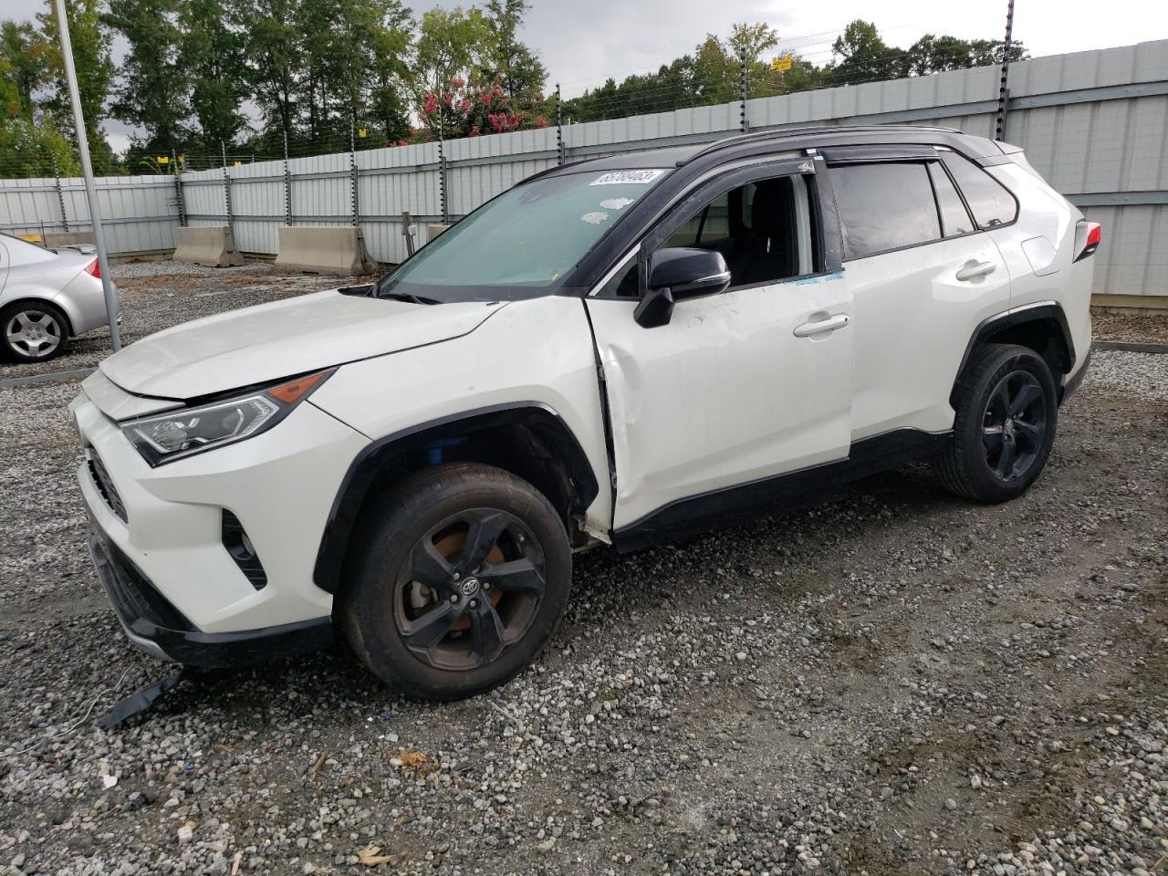 2019 TOYOTA RAV4 XSE car image