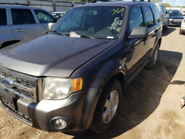 2010 FORD ESCAPE XLT