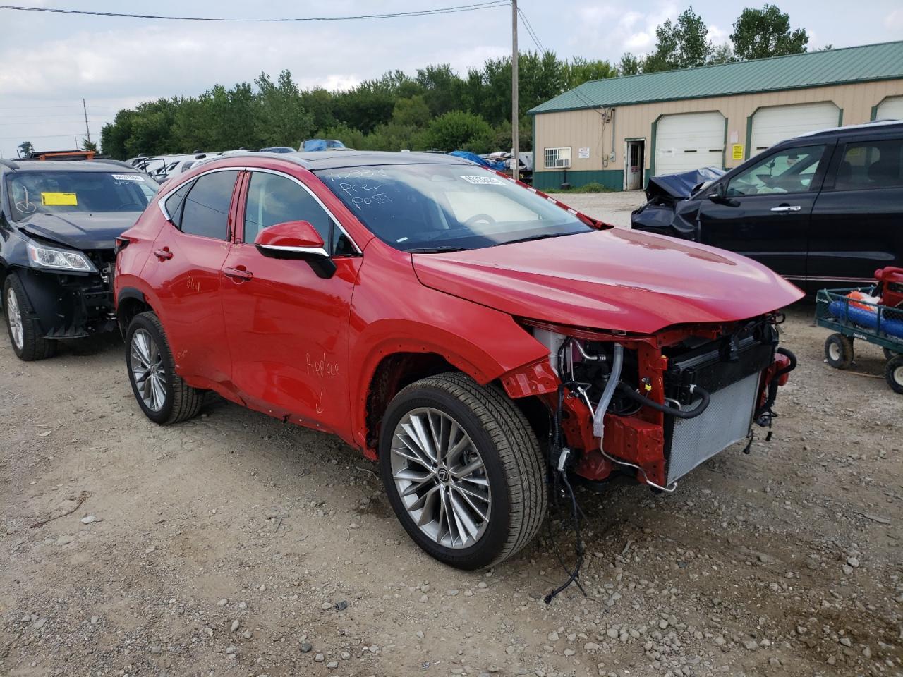 2023 LEXUS NX 350H - Фото 4
