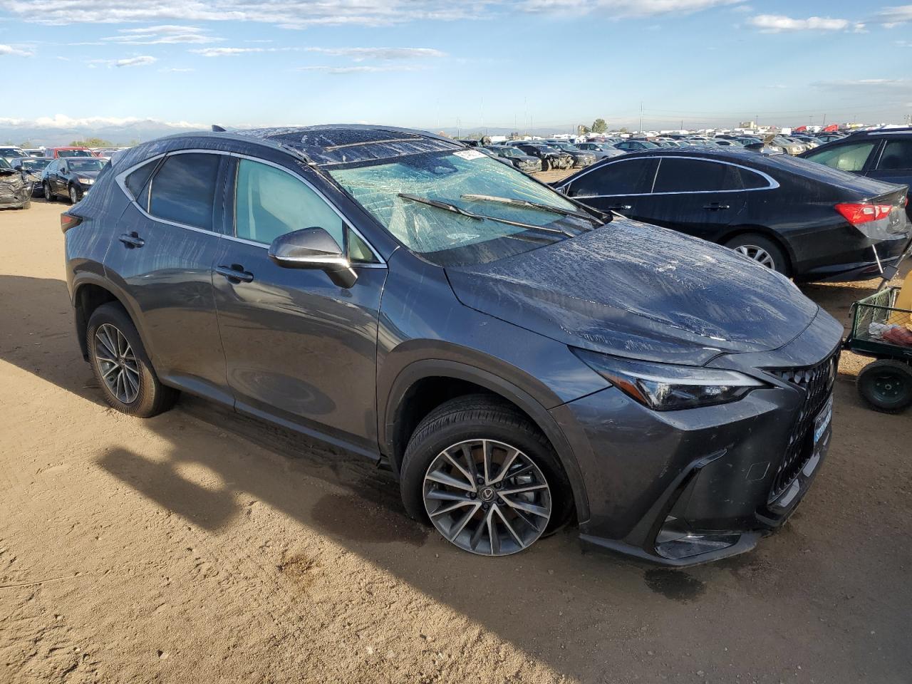 2024 LEXUS NX 350H BA - Фото 4