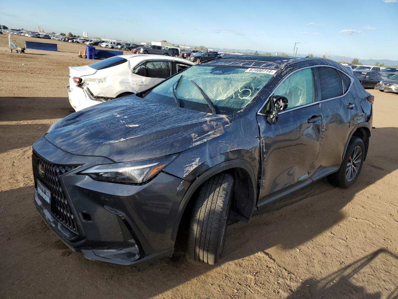 2024 LEXUS NX 350H BA