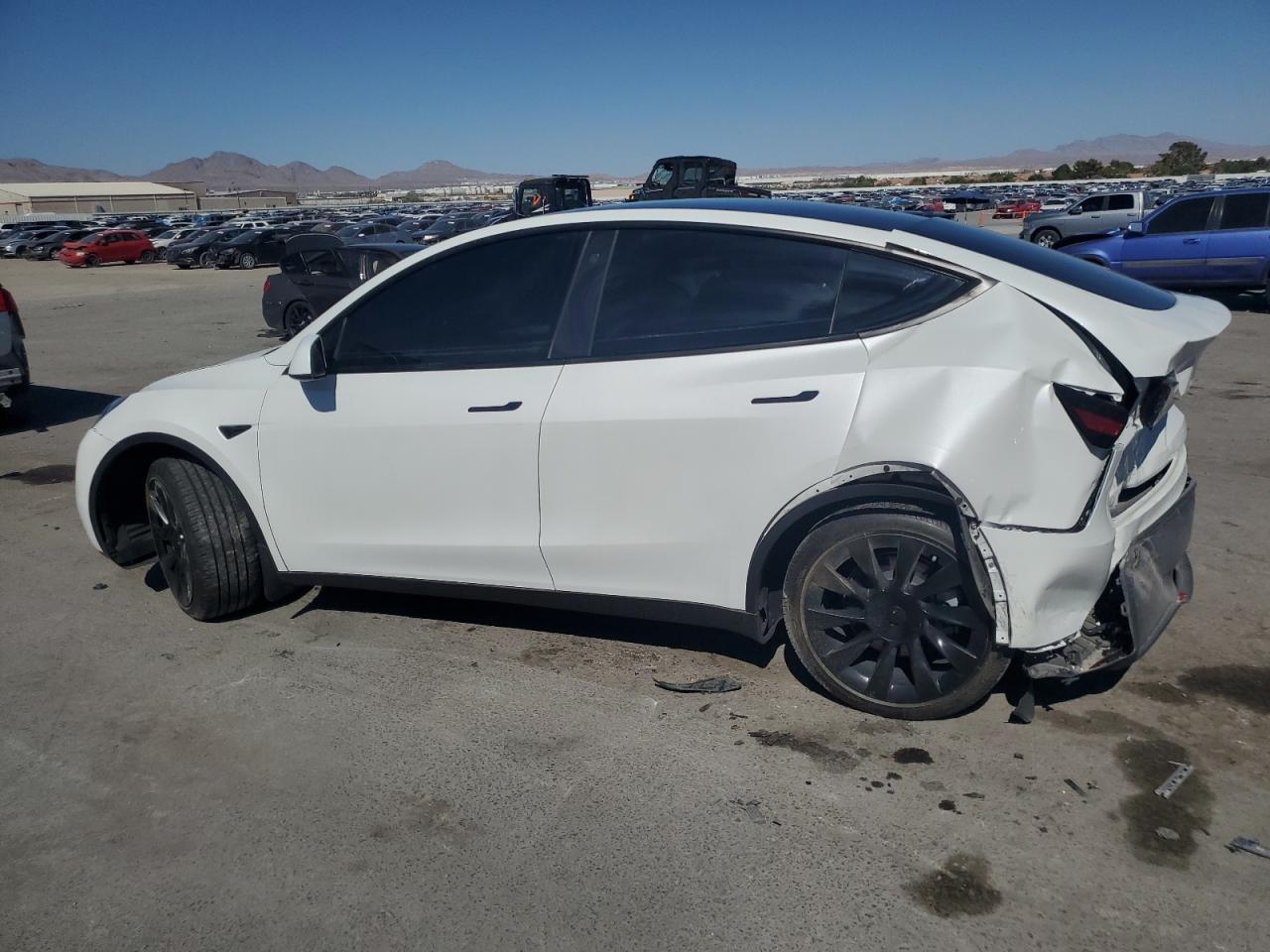2023 TESLA MODEL Y - Фото 2