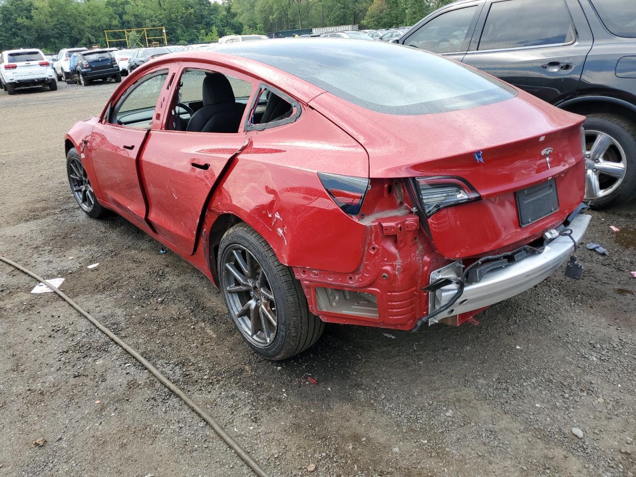 2019 TESLA MODEL 3 - Фото 2