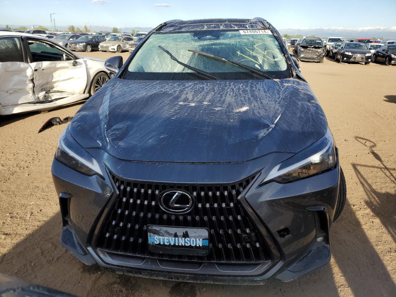 2024 LEXUS NX 350H BA - Фото 5