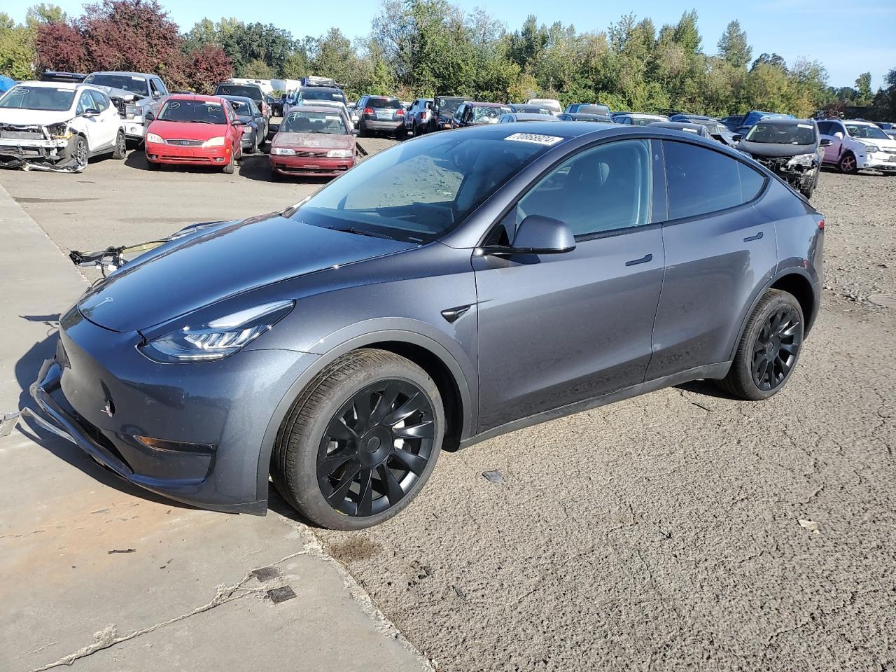2023 TESLA MODEL Y