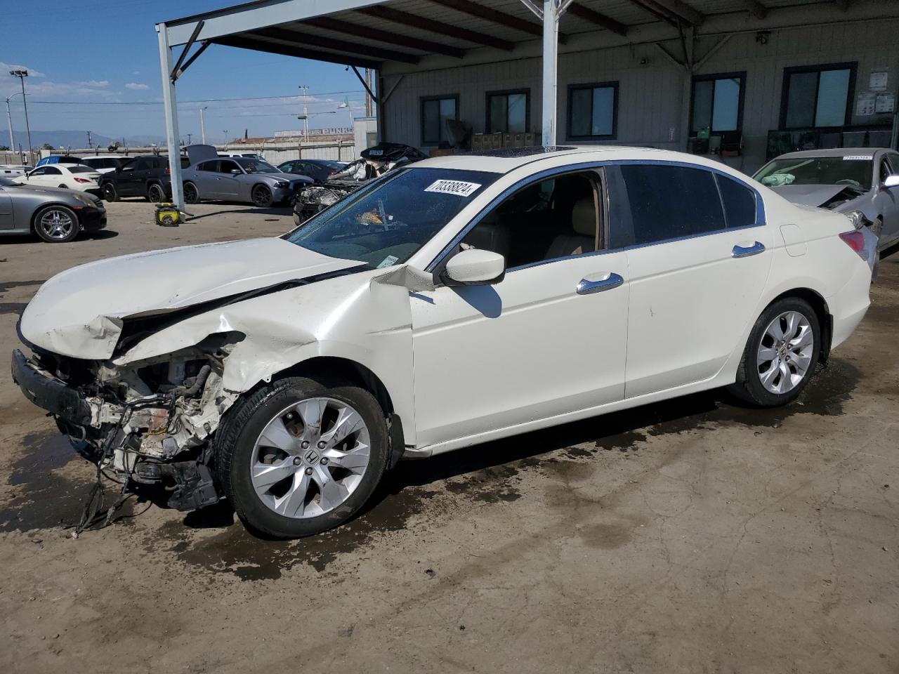 2010 HONDA ACCORD EXL