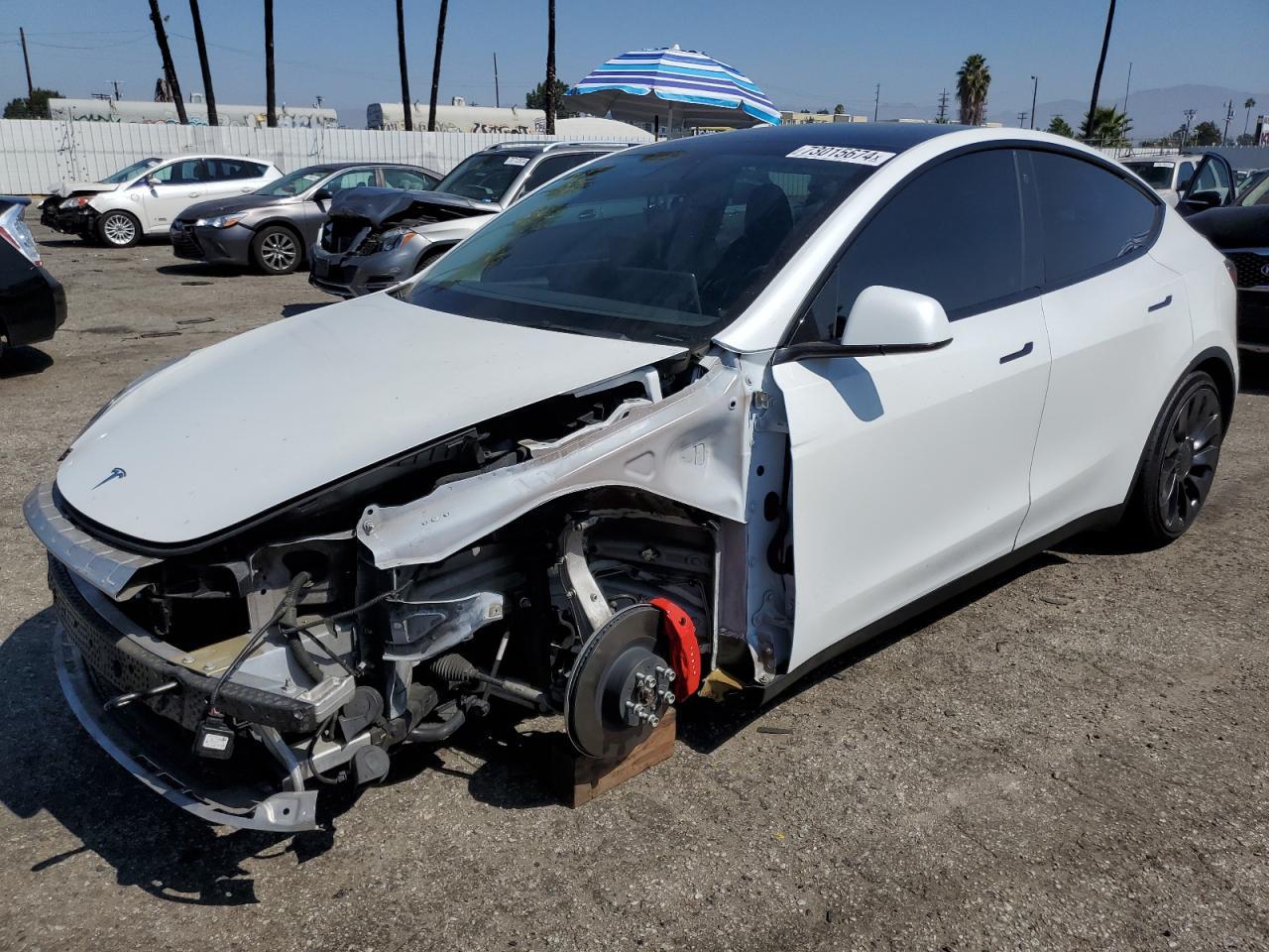 2022 TESLA MODEL Y