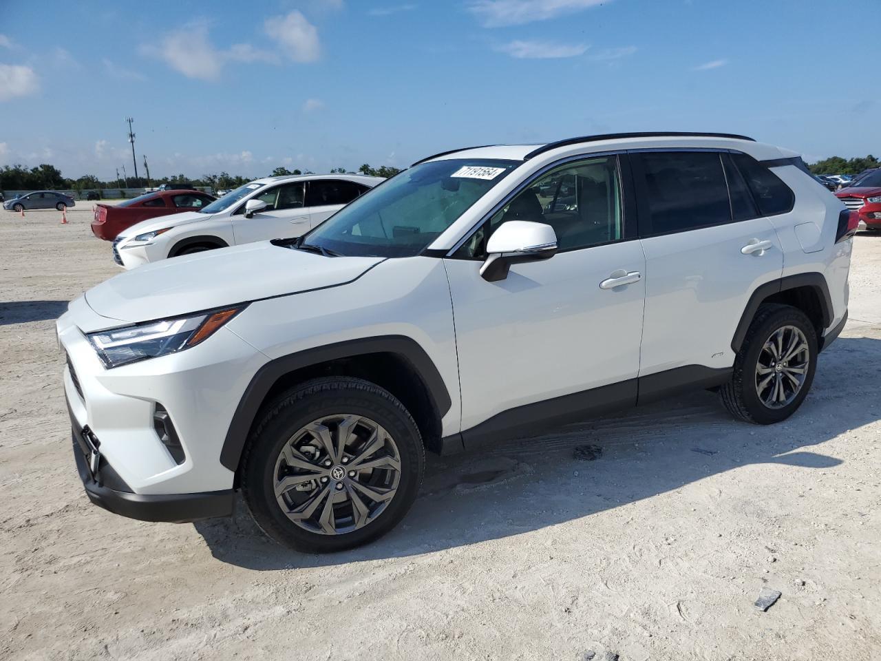 2024 TOYOTA RAV4 XLE P