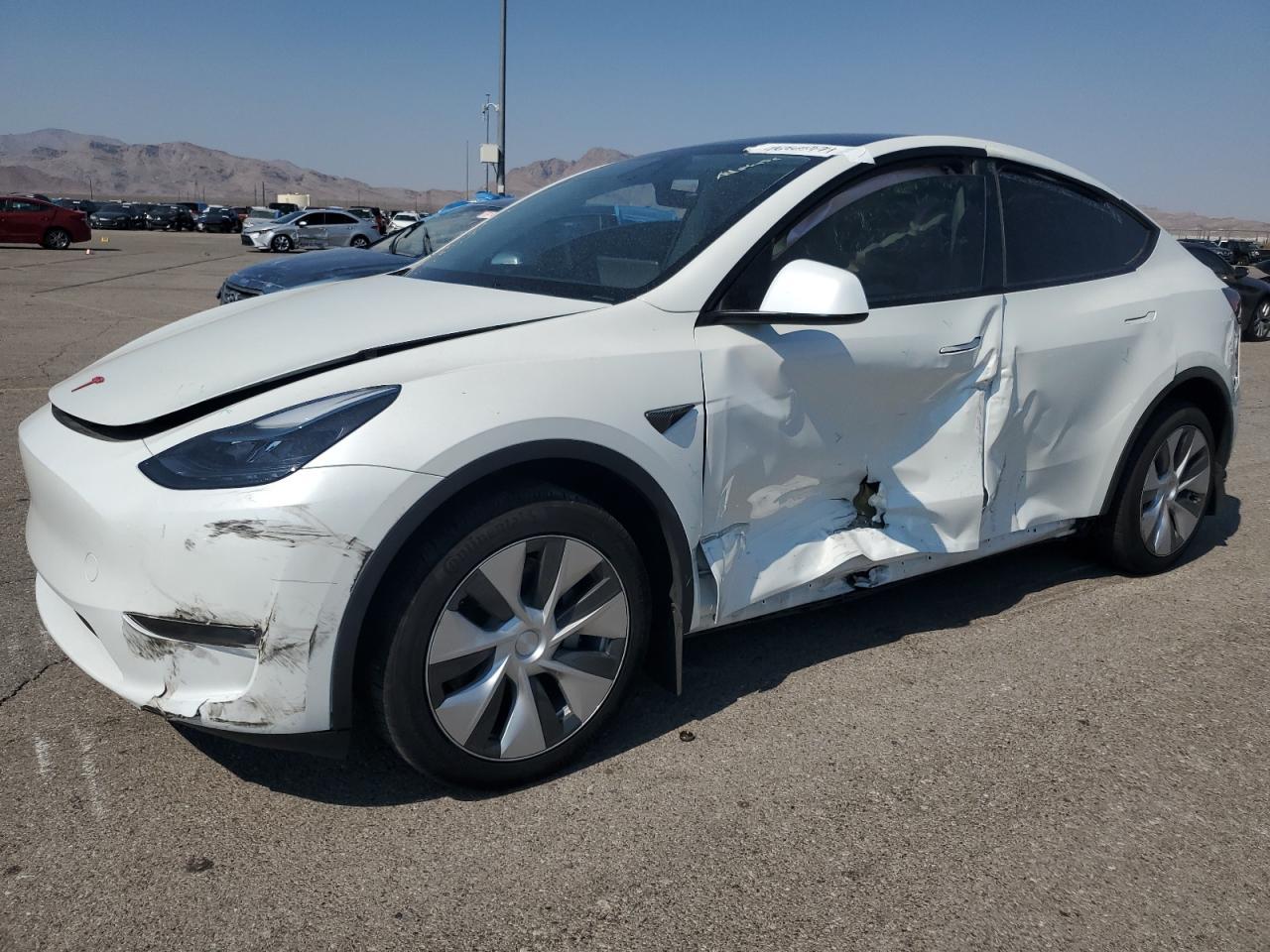 2023 TESLA MODEL Y car image