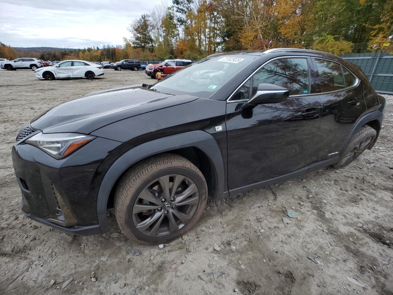 2019 LEXUS UX 250H car image