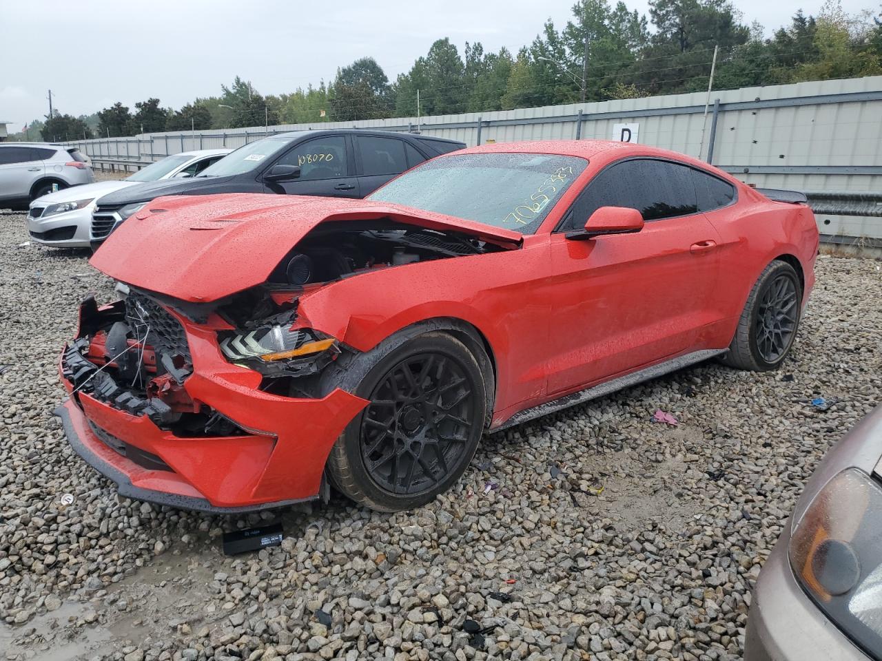 2019 FORD MUSTANG car image