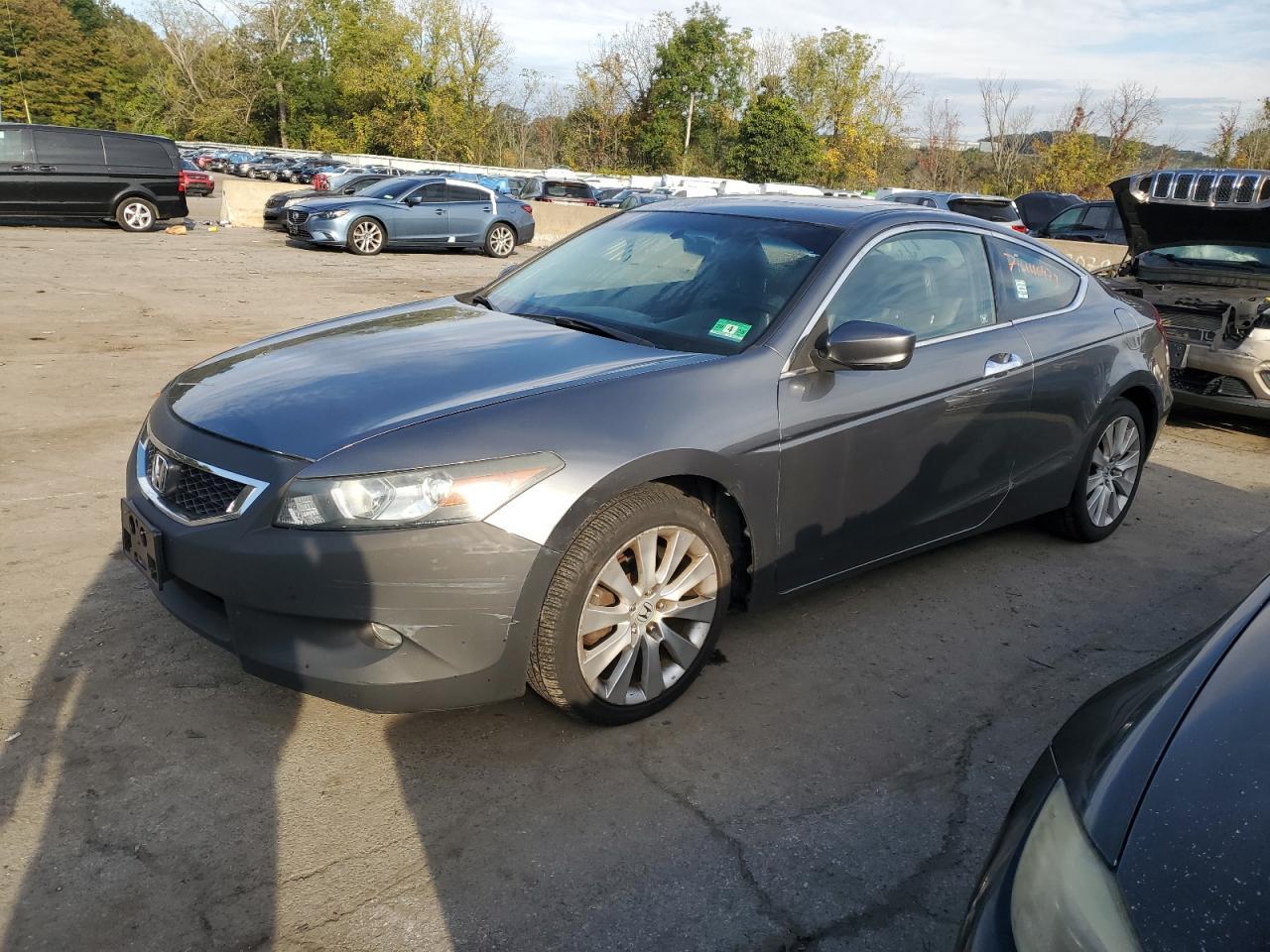2010 HONDA ACCORD EXL