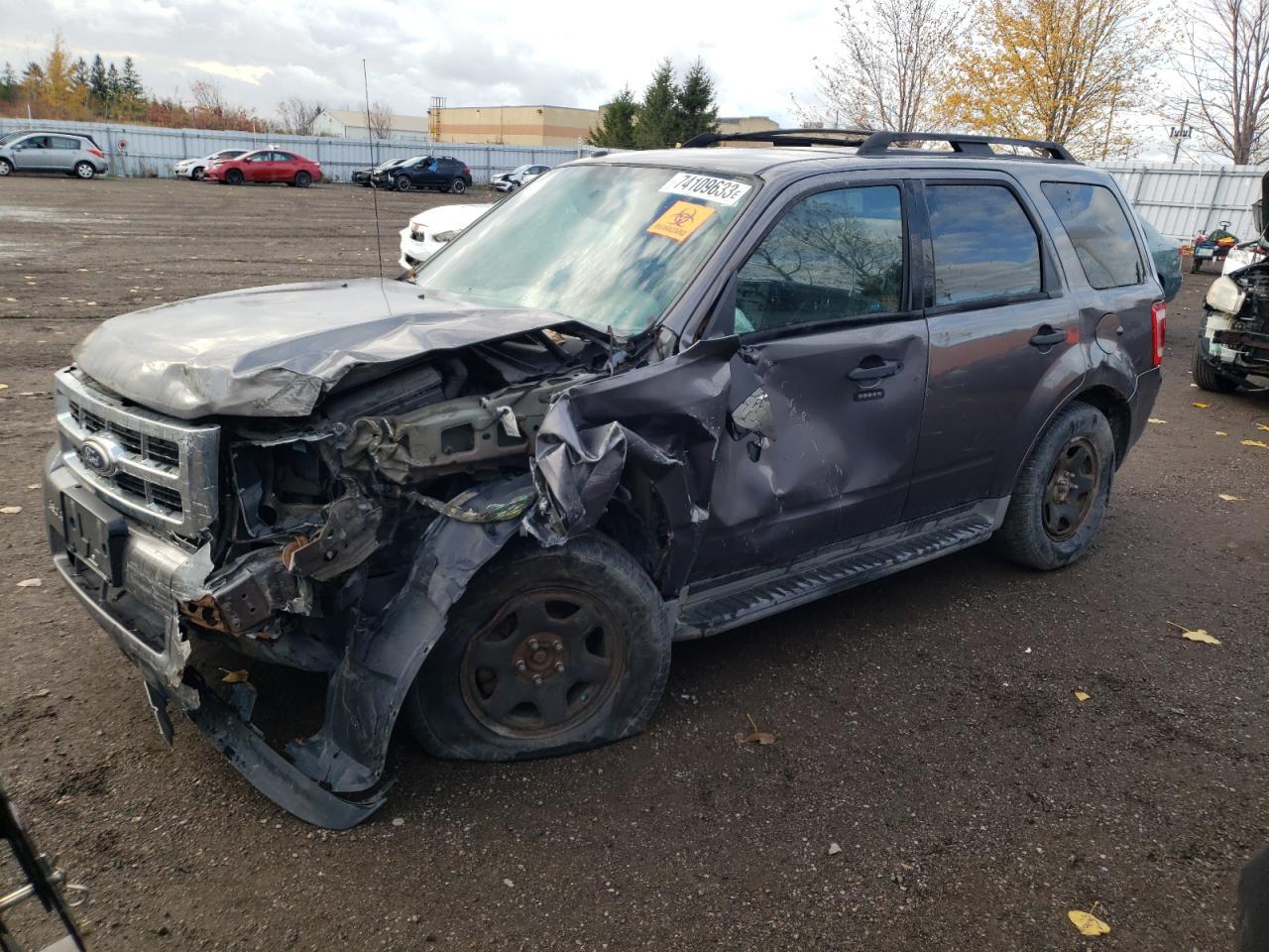 2010 FORD ESCAPE XLT