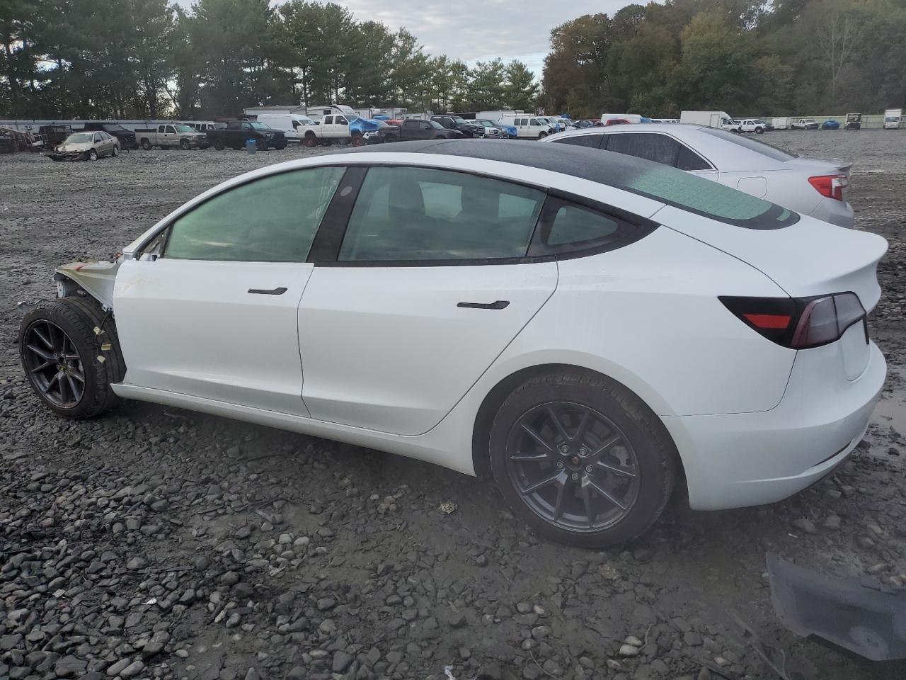 2023 TESLA MODEL 3 - Фото 2
