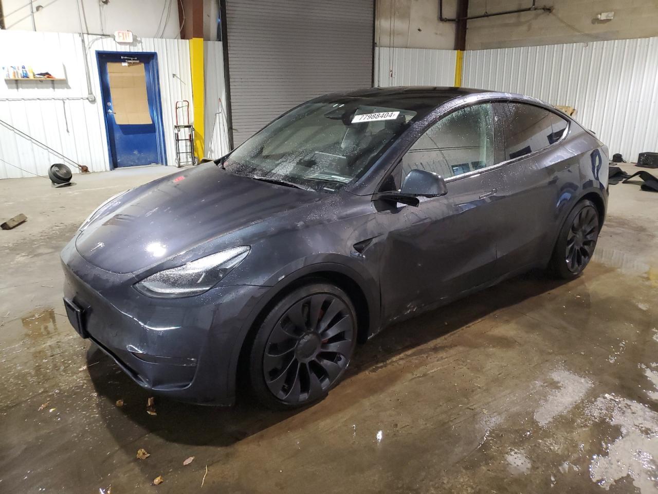 2024 TESLA MODEL Y
