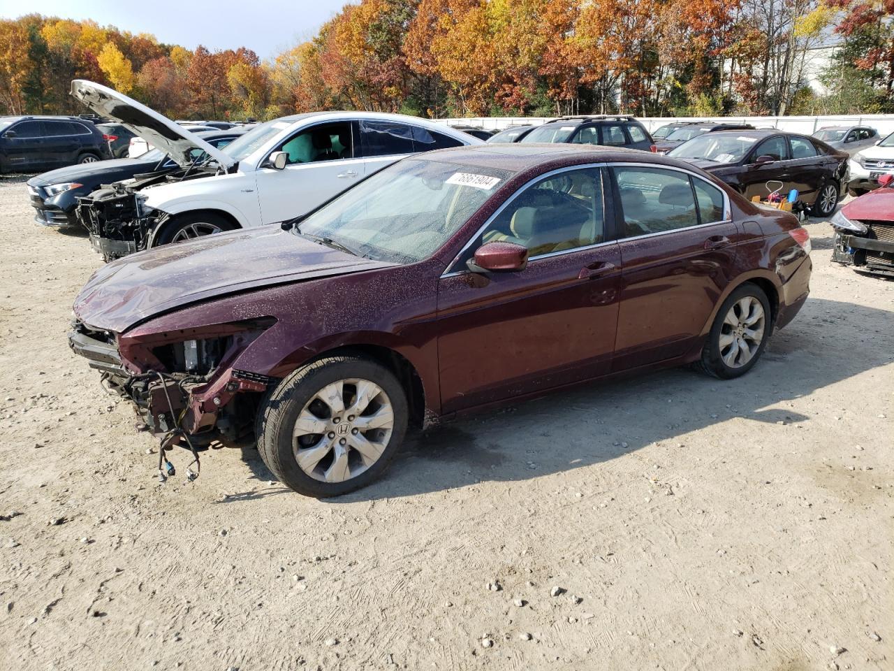 2010 HONDA ACCORD EXL