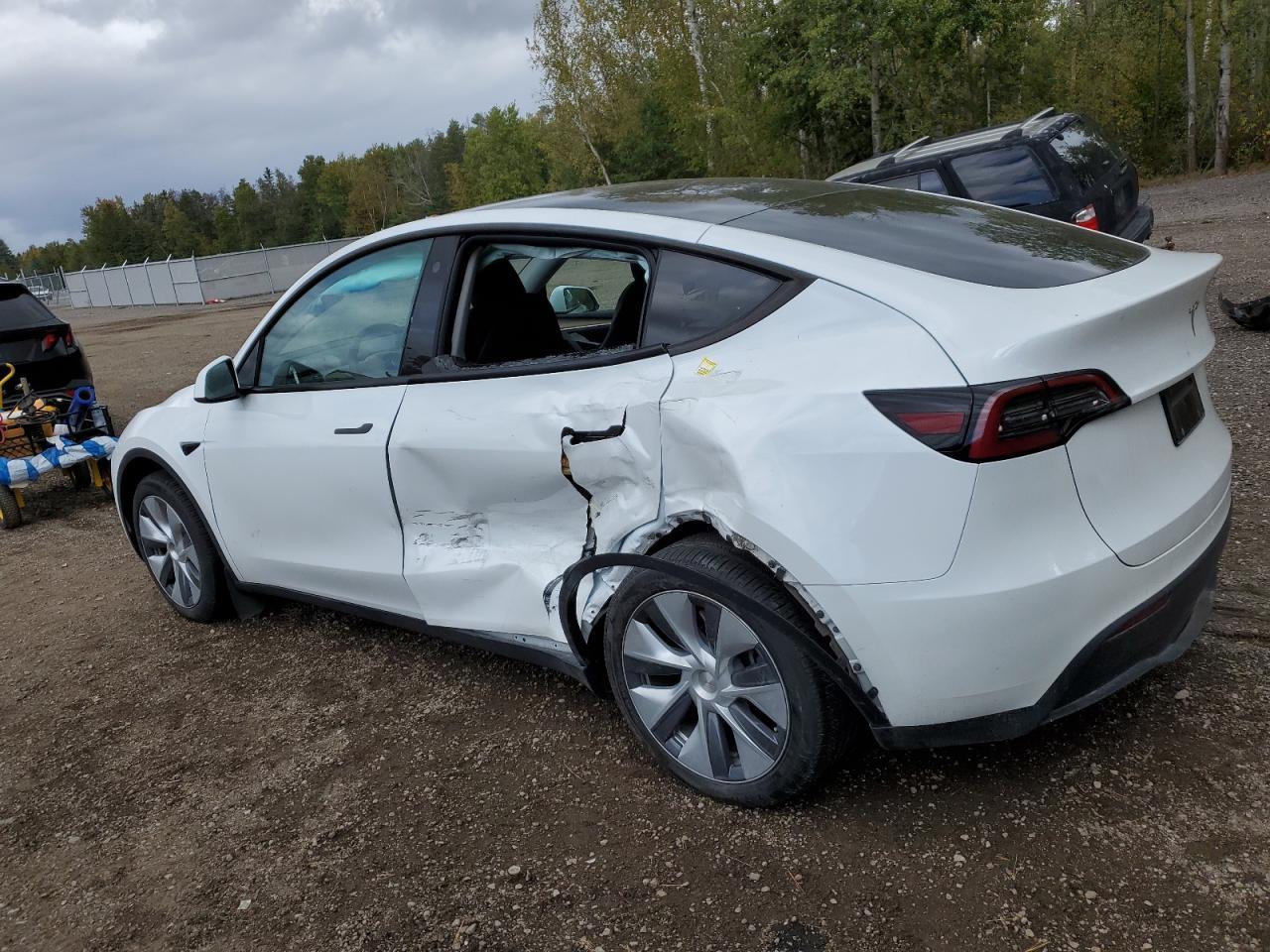 2023 TESLA MODEL Y - Фото 2