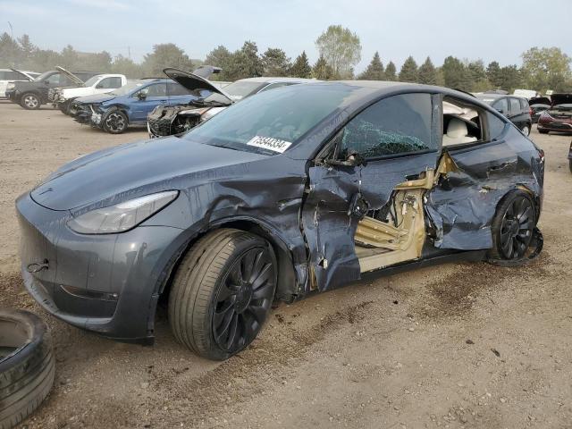 2021 TESLA MODEL Y car image