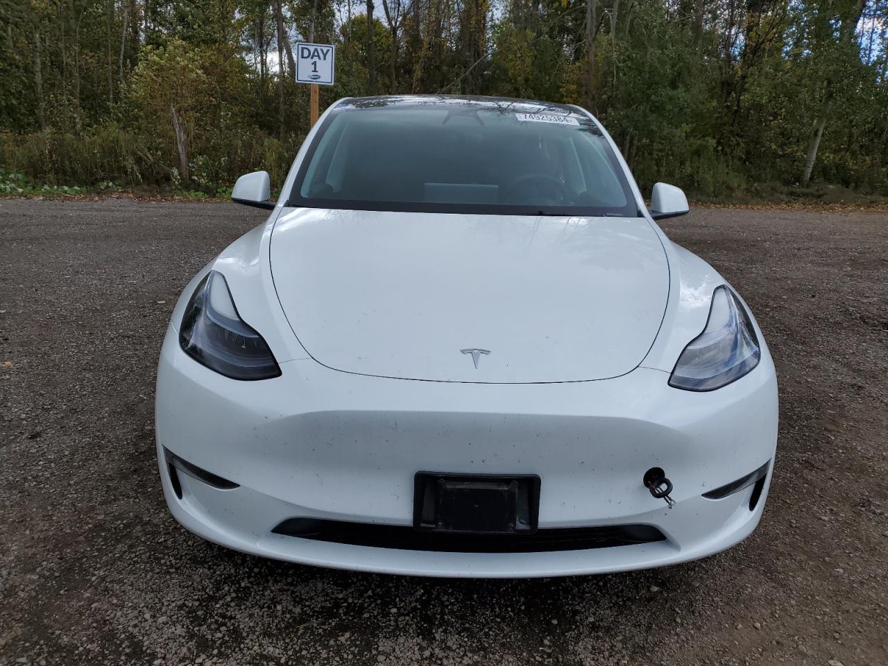 2023 TESLA MODEL Y - Фото 5