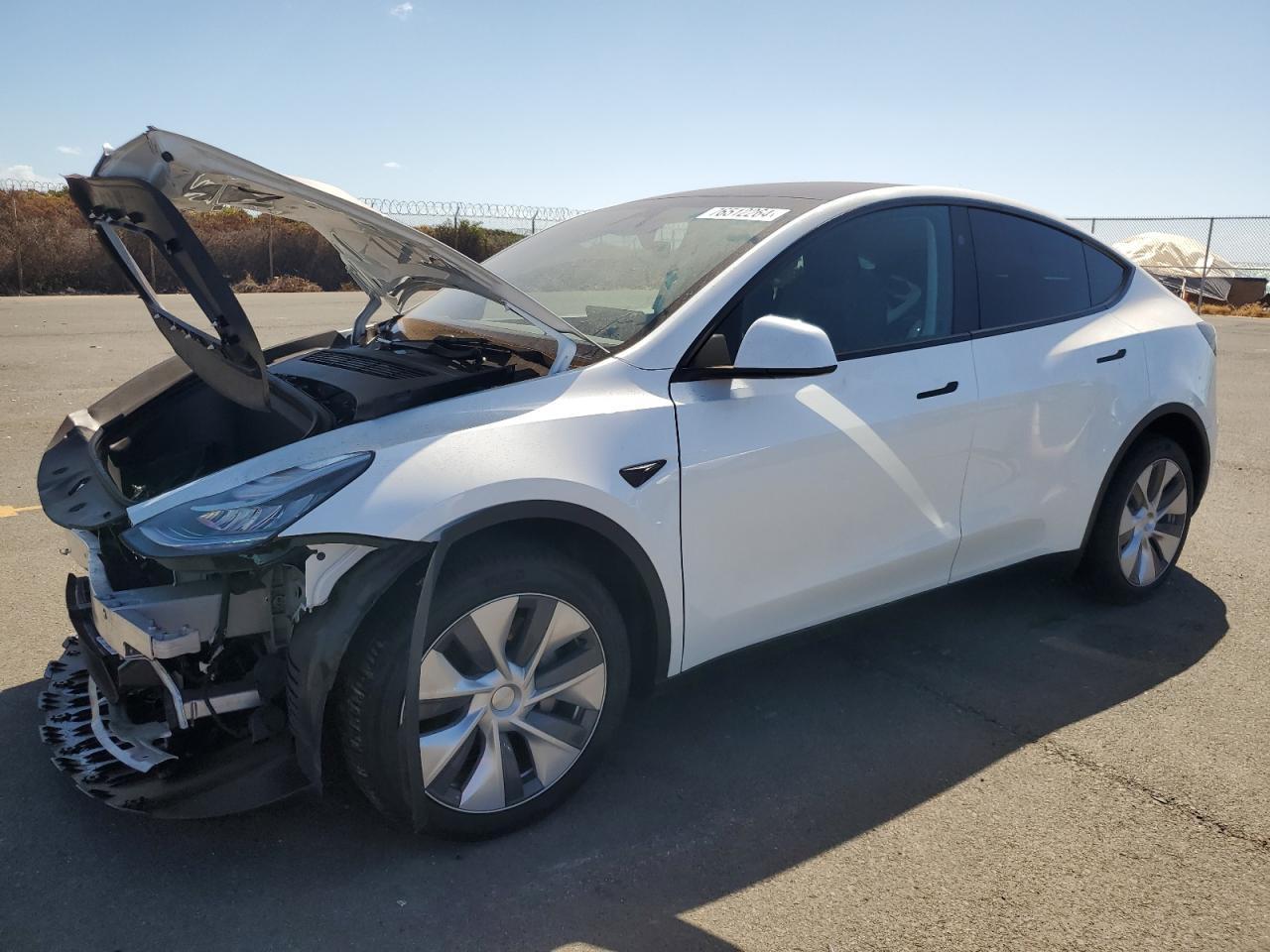 2023 TESLA MODEL Y car image