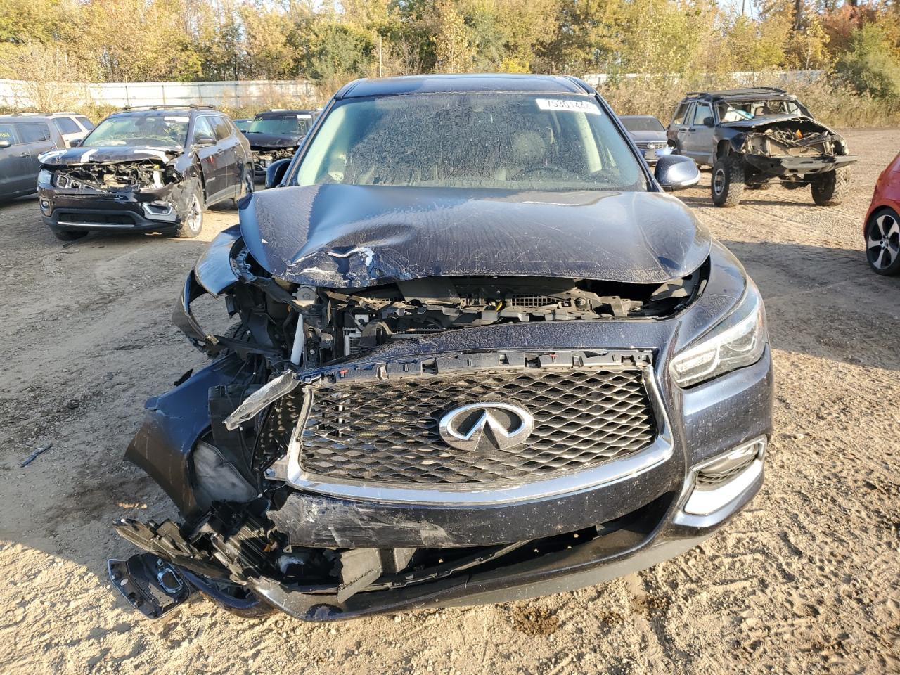 2019 INFINITI QX60 LUXE - Фото 5