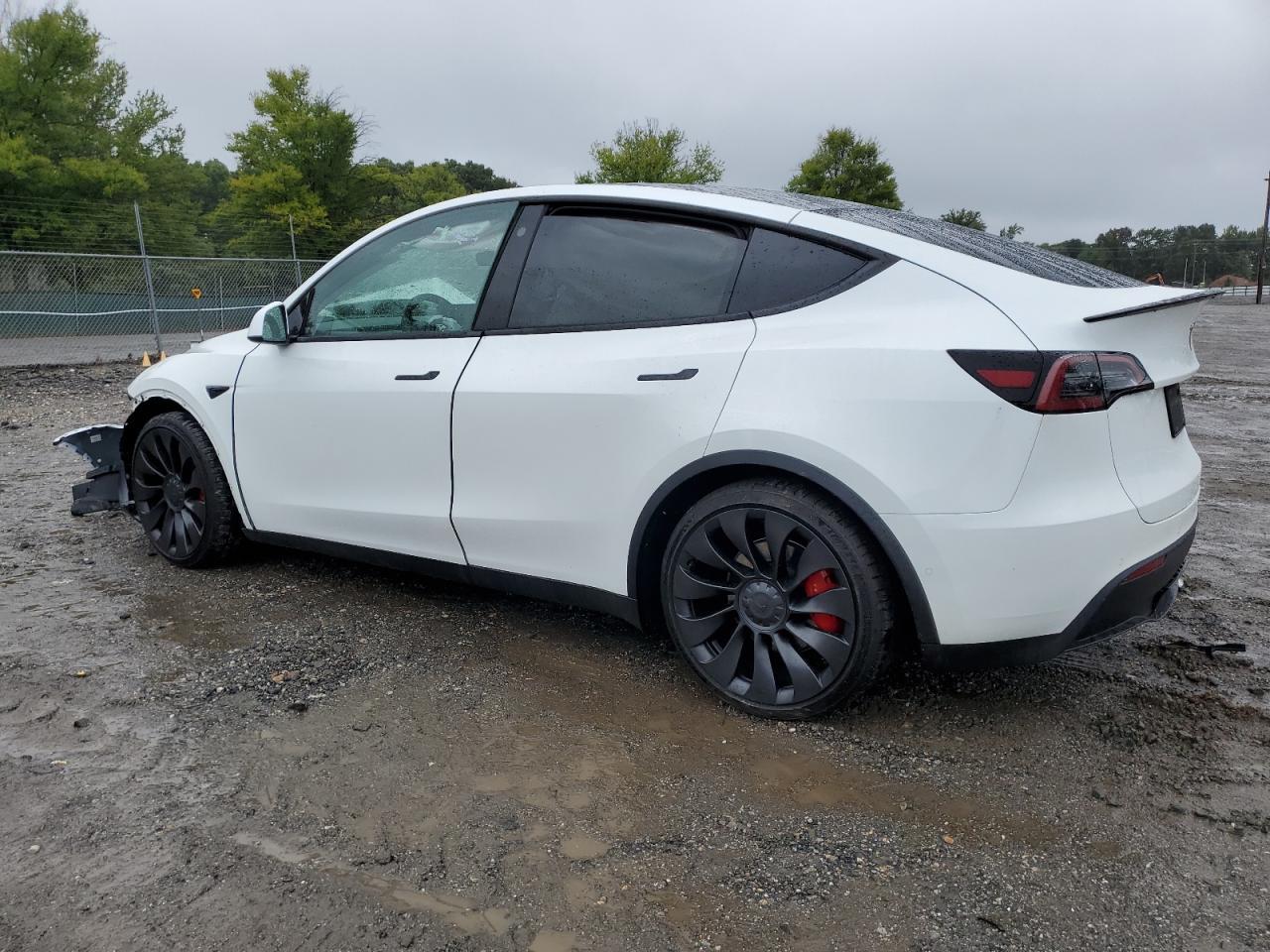 2022 TESLA MODEL Y - Image 2