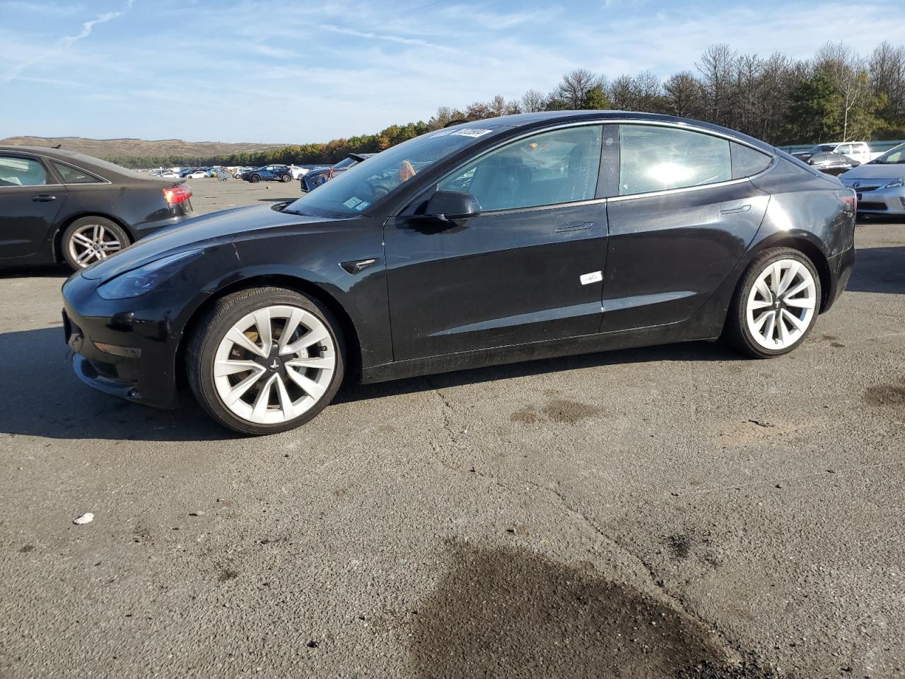 2022 TESLA MODEL 3 car image