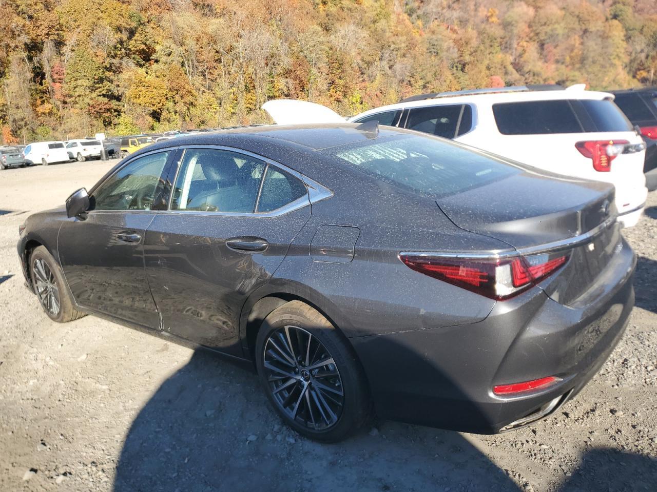 2024 LEXUS ES 350 BAS - Фото 2