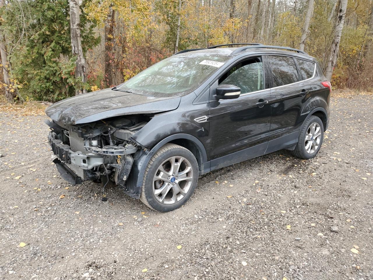 2013 FORD ESCAPE SEL