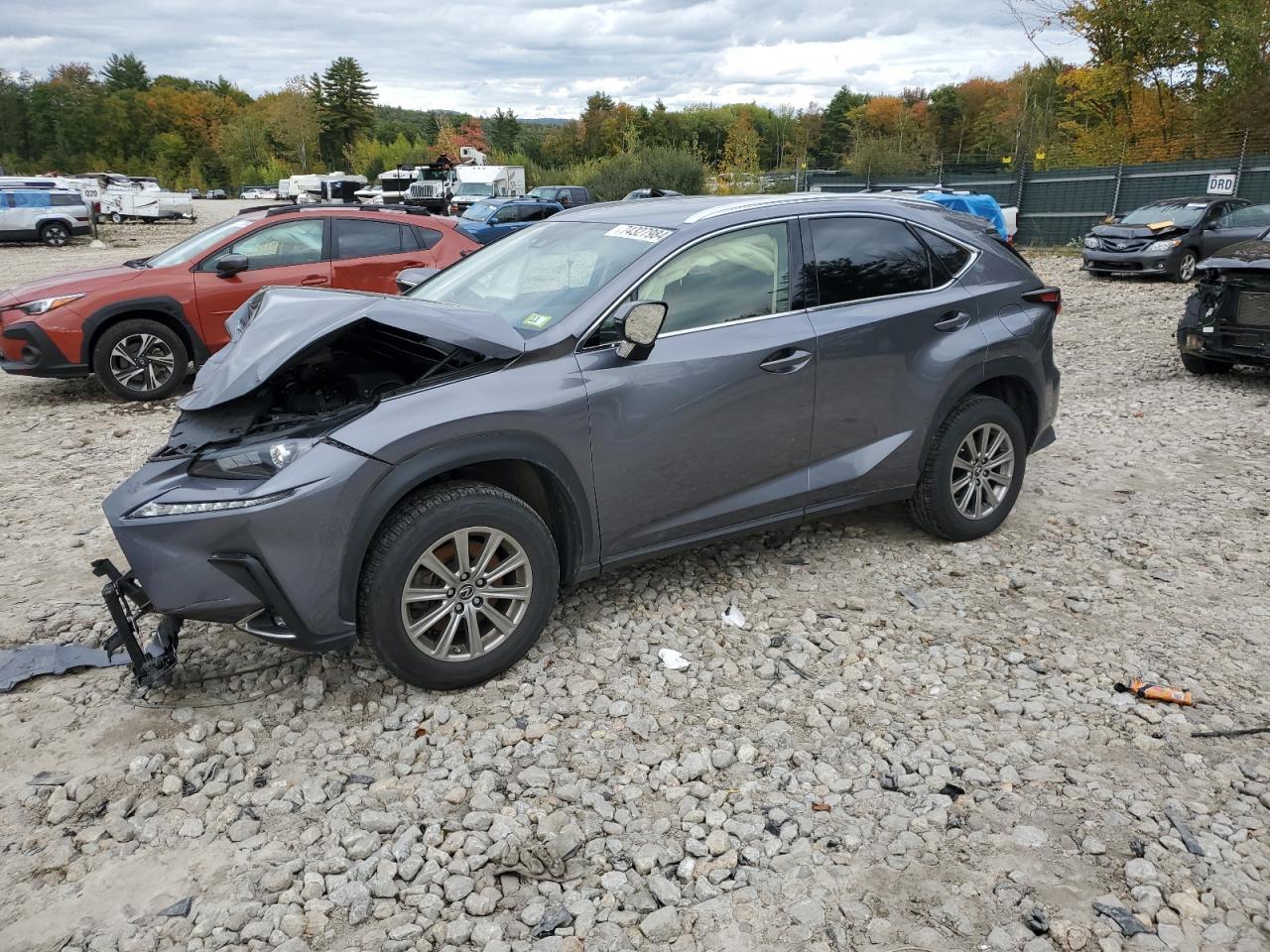 2021 LEXUS NX 300 BAS car image