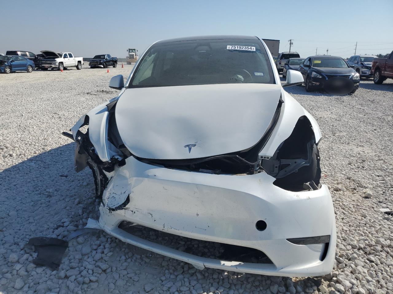2024 TESLA MODEL Y - Image 5