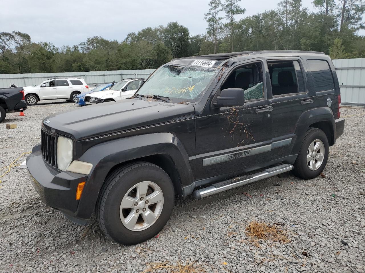 2010 JEEP LIBERTY SP