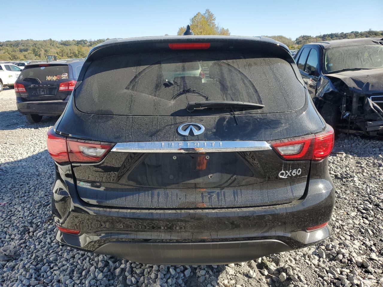 2019 INFINITI QX60 LUXE - Image 6