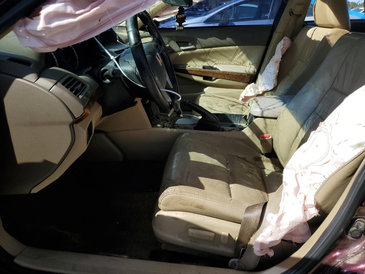2010 HONDA ACCORD EXL - Image 7