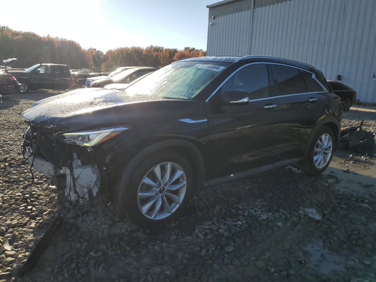 2019 INFINITI QX50 ESSEN car image