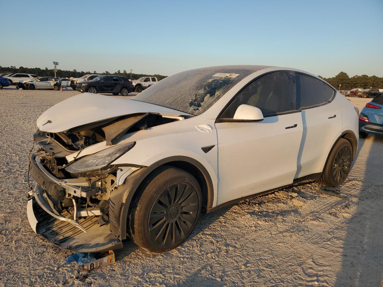 2023 TESLA MODEL Y